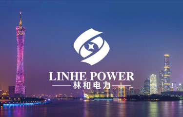 广东林和电力科技有限公司